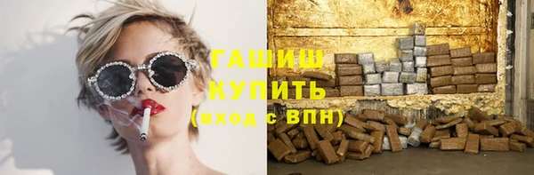 сатива Новозыбков