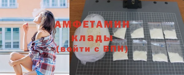 ПСИЛОЦИБИНОВЫЕ ГРИБЫ Новосибирск