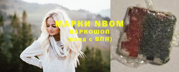 первитин Няндома