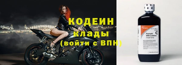 первитин Няндома