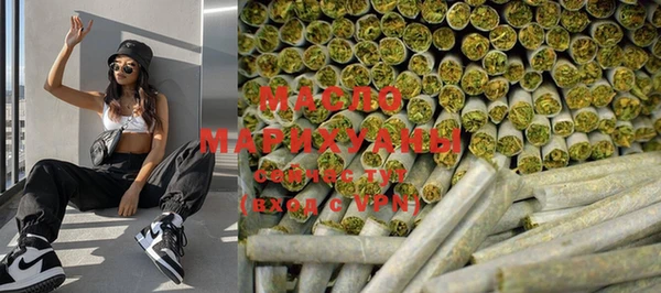 индика Нязепетровск
