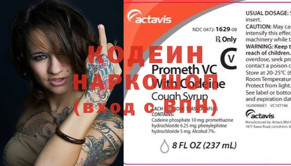 индика Нязепетровск