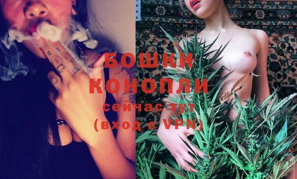 индика Нязепетровск