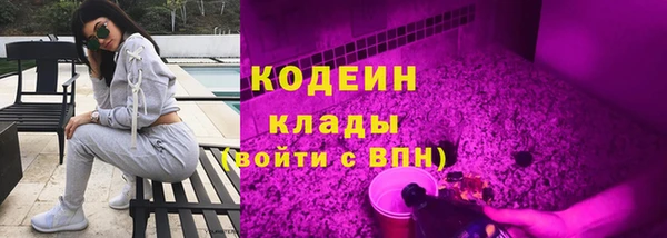 индика Нязепетровск