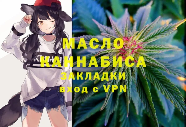 первитин Няндома